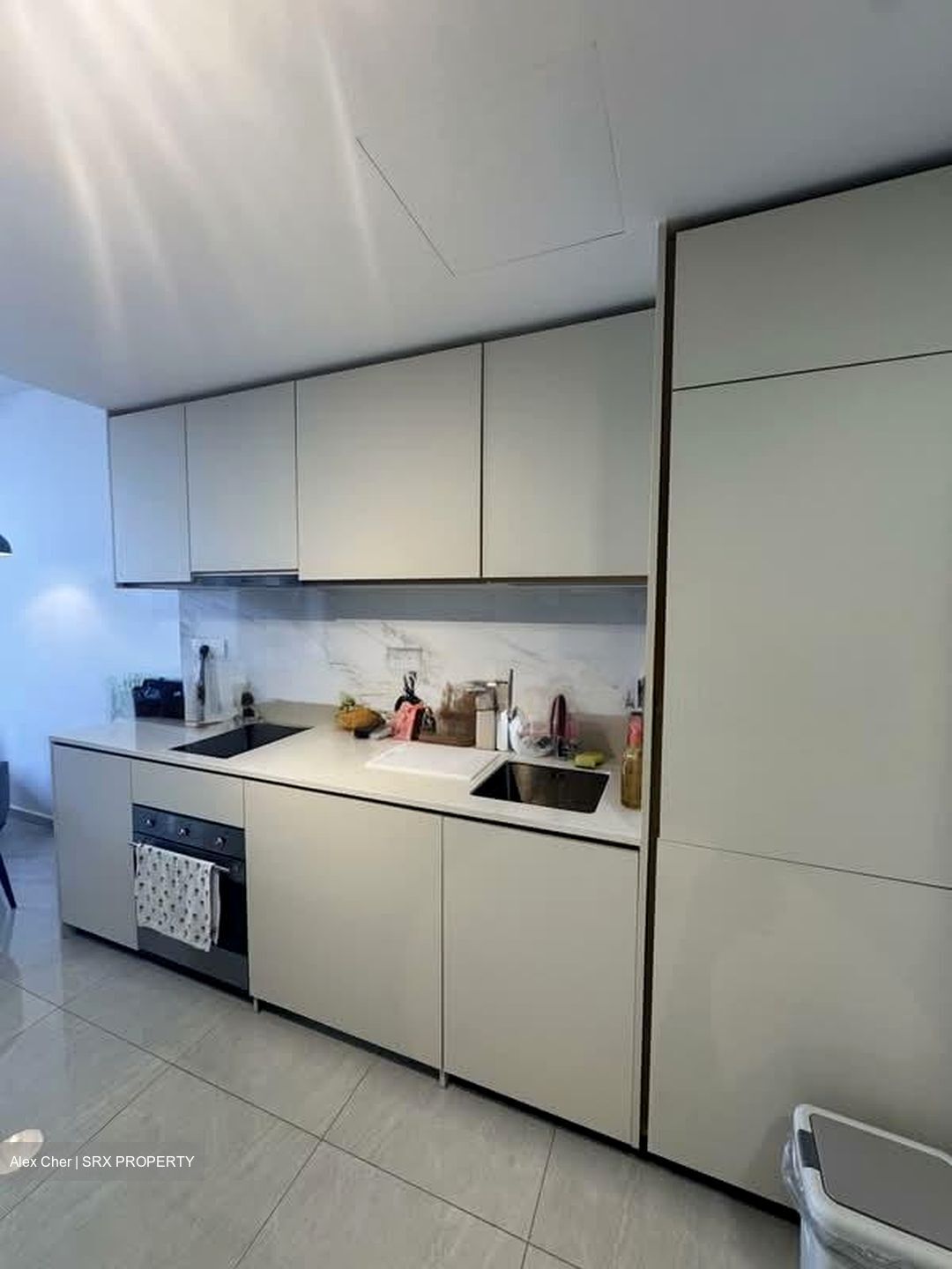 Kopar At Newton (D9), Apartment #574047171